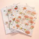 Bolsa de Regalo Transparente Flores y Osos