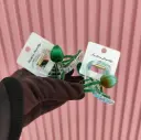 Pinches de tulipan