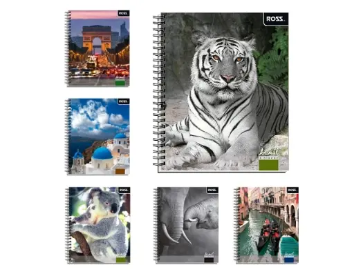 [29970-7] Cuaderno Univ Ross Ts/Ed Anim&Places 100Hj 7mm