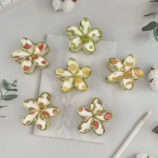 [EE25-2172] Pinche Horquilla Diseño Frutas